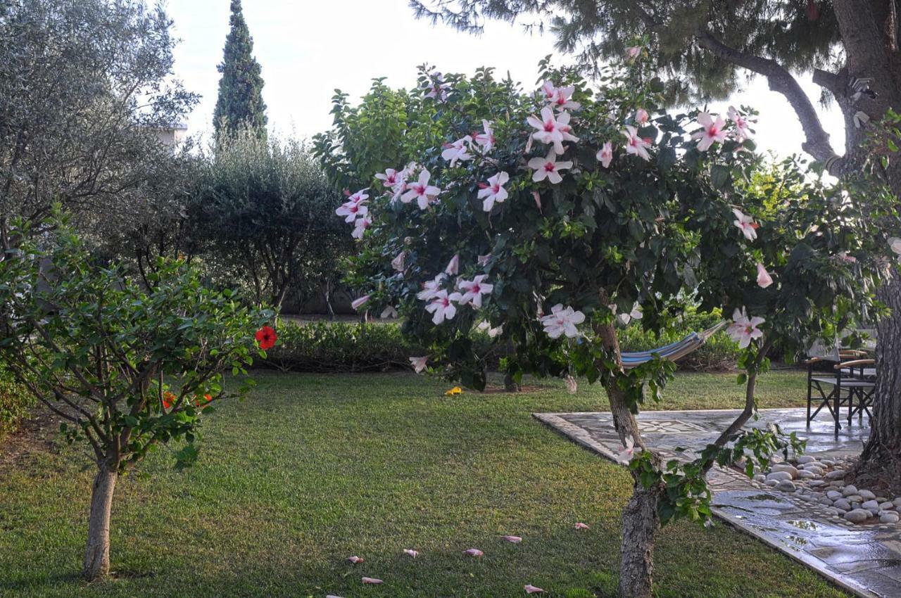 Messinian Blue Seaside Villa Kalamata Exterior photo